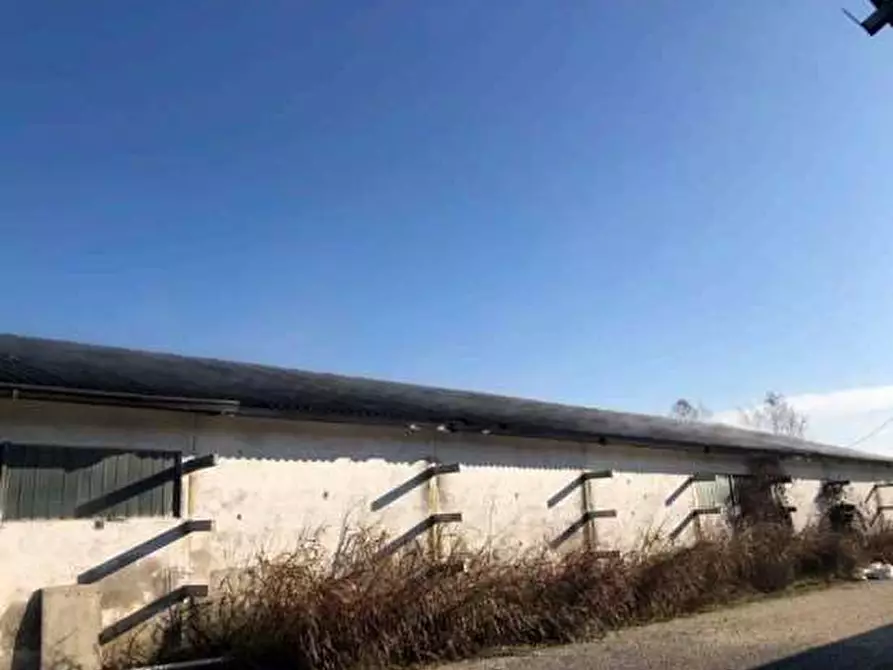 Immagine 26 di Capannone industriale in vendita  in Strada Gandine a Ghedi