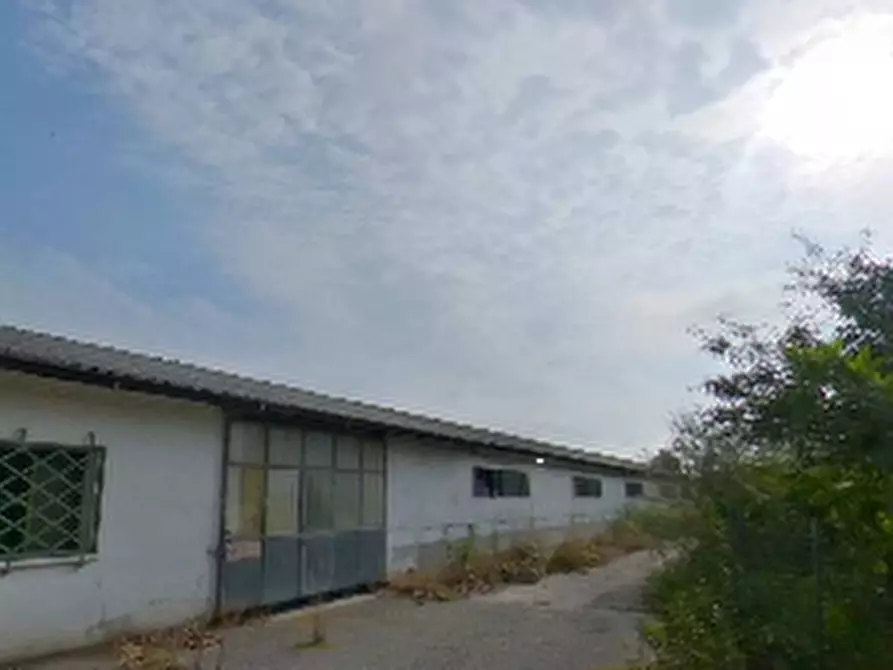 Immagine 2 di Capannone industriale in vendita  in Strada Gandine a Ghedi