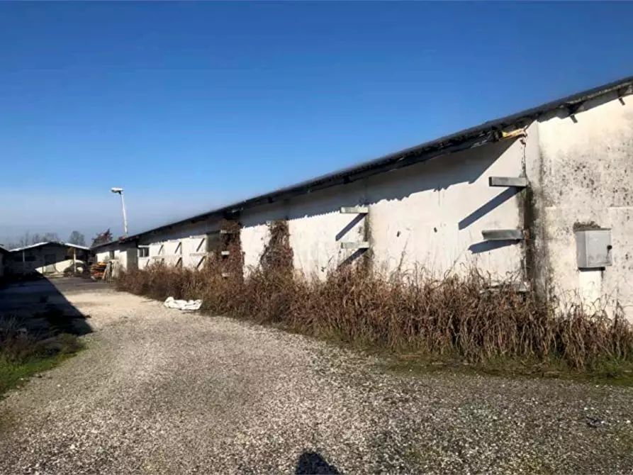Immagine 3 di Capannone industriale in vendita  in Strada Gandine a Ghedi