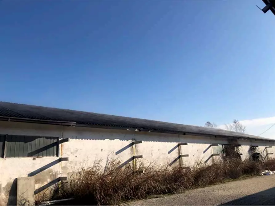 Immagine 4 di Capannone industriale in vendita  in Strada Gandine a Ghedi