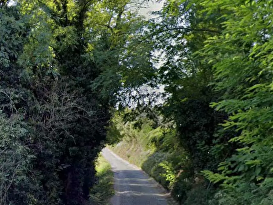 Immagine 10 di Terreno agricolo in vendita  in via Valle a Manerba Del Garda