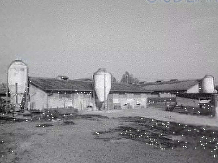 Immagine 6 di Capannone industriale in vendita  in località Calvisano a Calvisano