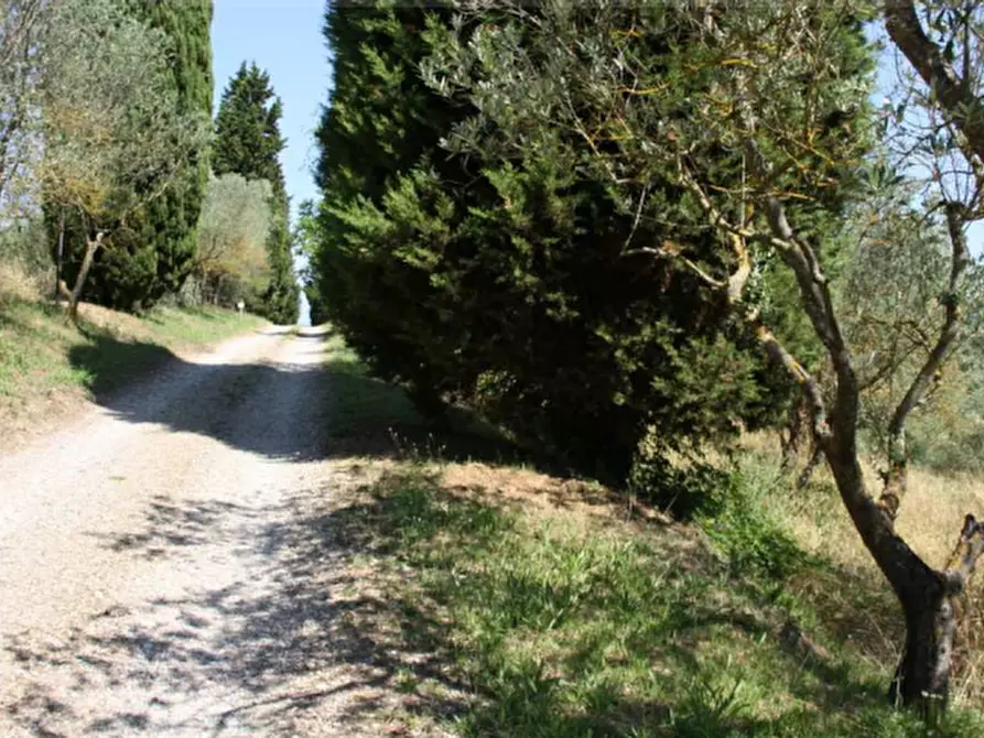 Immagine 13 di Stabile in vendita  in Via Montelfi a Figline Valdarno