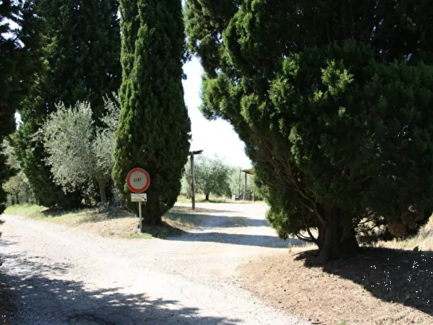Immagine 14 di Stabile in vendita  in Via Montelfi a Figline Valdarno