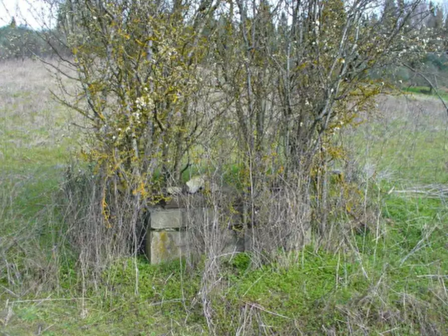 Immagine 25 di Stabile in vendita  in Via Montelfi a Figline Valdarno