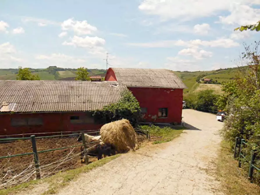 Immagine 2 di Terreno agricolo in vendita  in Via Pediano a Imola