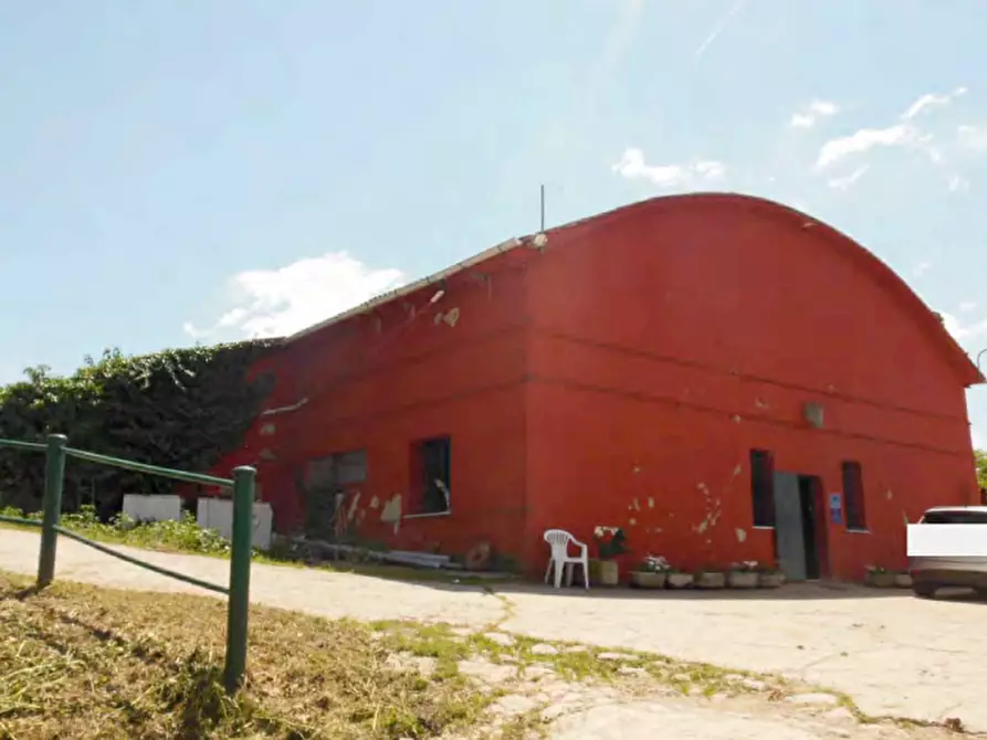 Immagine 1 di Terreno agricolo in vendita  in Via Pediano a Imola