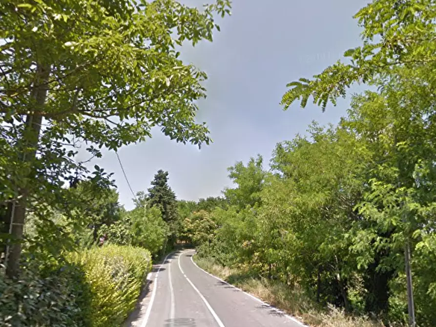 Immagine 6 di Terreno agricolo in vendita  in Via Pediano a Imola