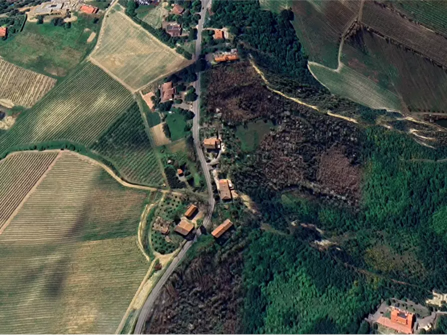 Immagine 8 di Terreno agricolo in vendita  in Via Pediano a Imola