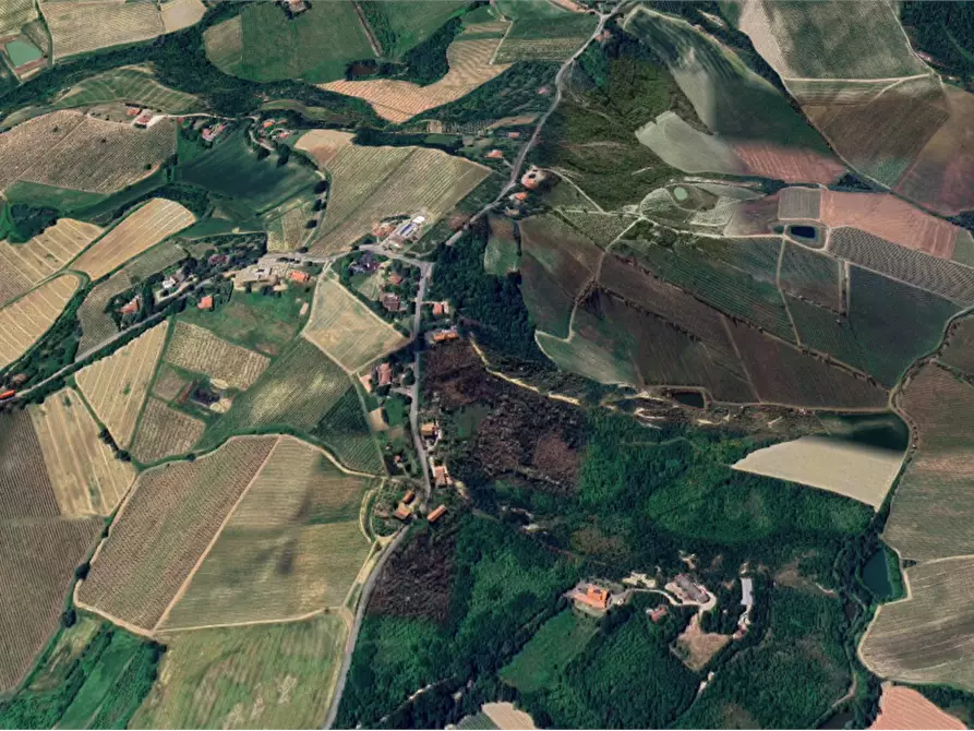 Immagine 9 di Terreno agricolo in vendita  in Via Pediano a Imola