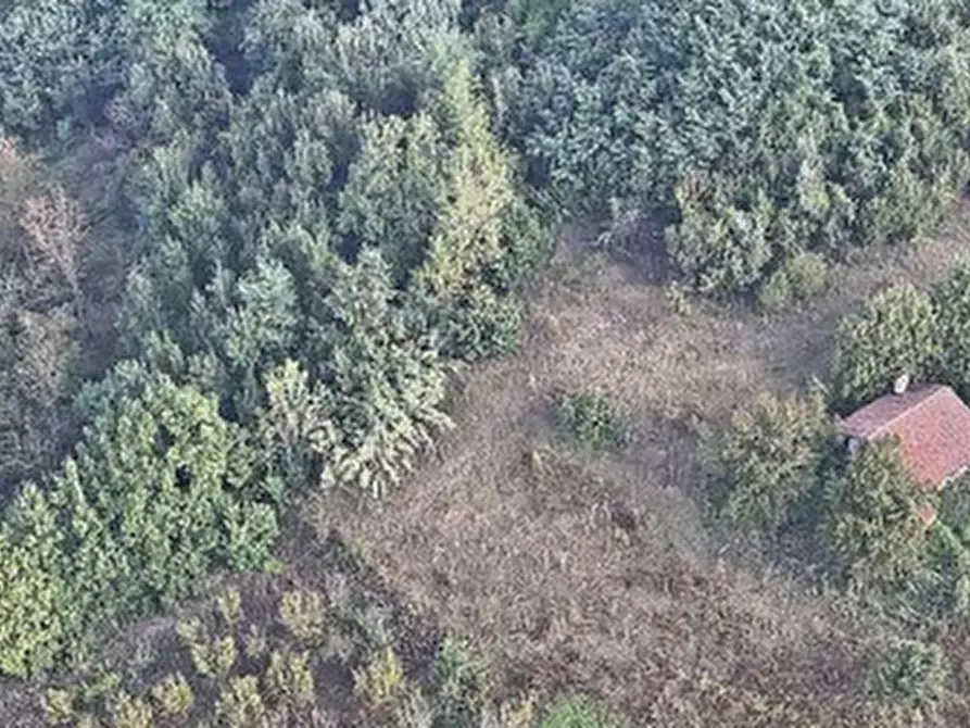 Immagine 5 di Rustico / casale in vendita  in Strada comunale cavalchino a Pocapaglia
