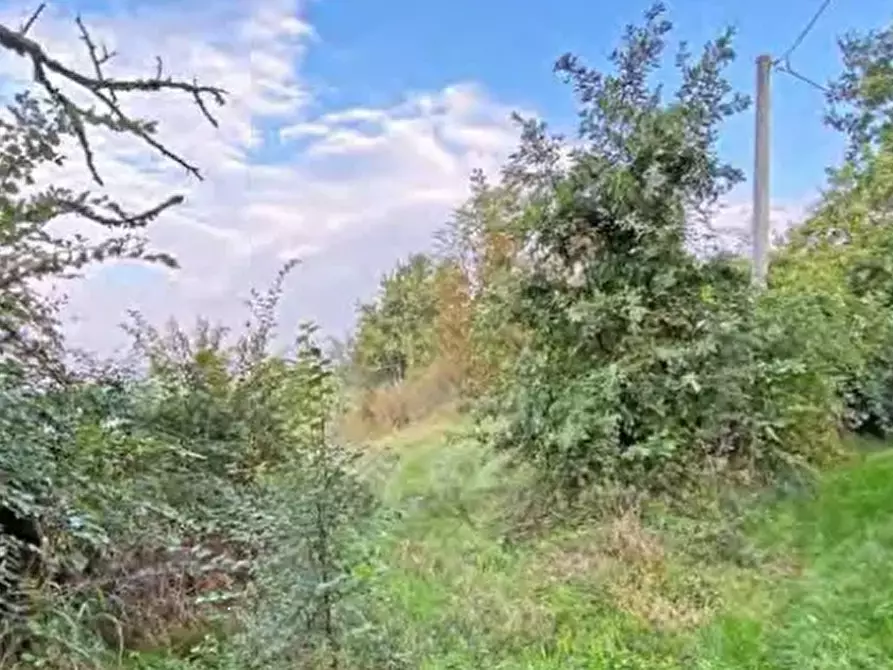 Immagine 22 di Rustico / casale in vendita  in Strada comunale cavalchino a Pocapaglia