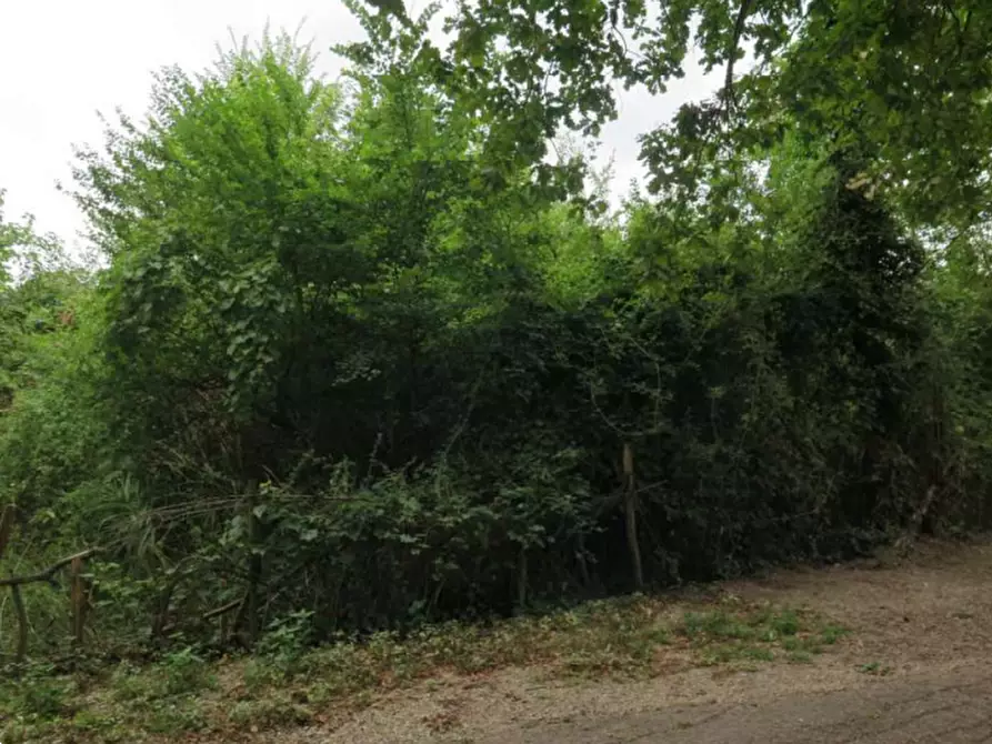 Immagine 1 di Terreno agricolo in vendita  in via Bramante a Castelfranco Emilia