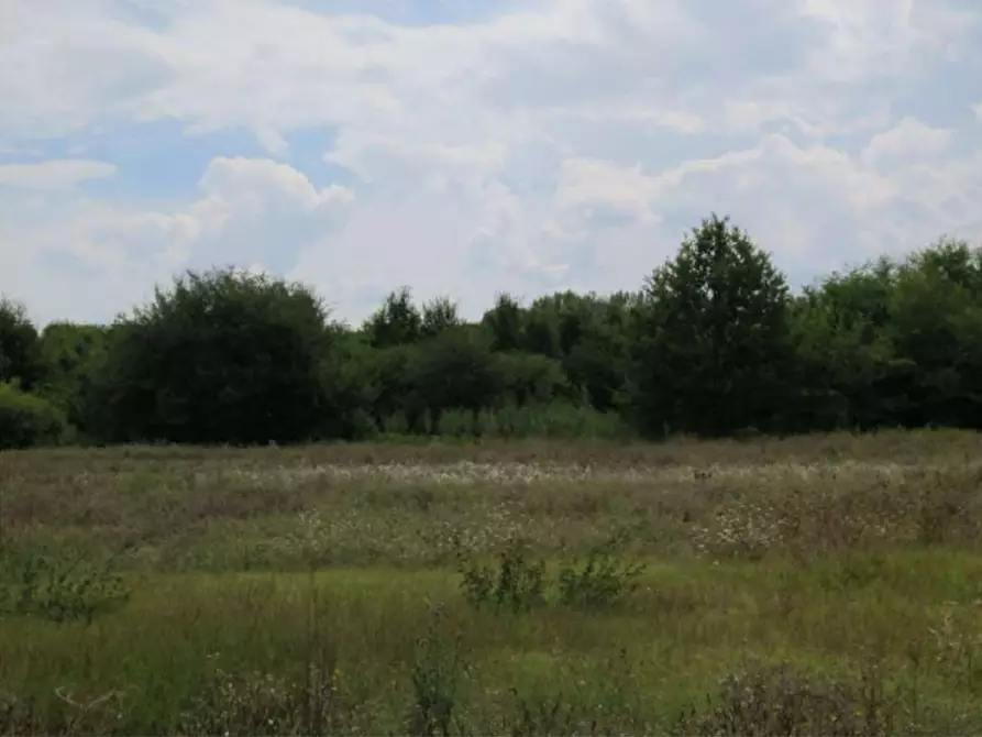 Immagine 7 di Terreno agricolo in vendita  in via Bramante a Castelfranco Emilia