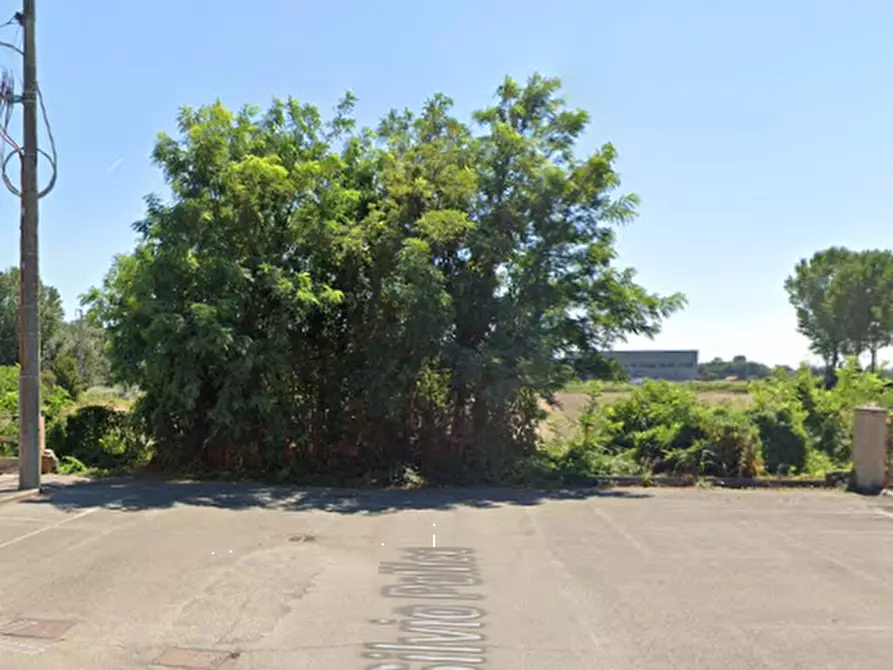 Immagine 6 di Appartamento in vendita  in Via Silvio Pellico a Tromello