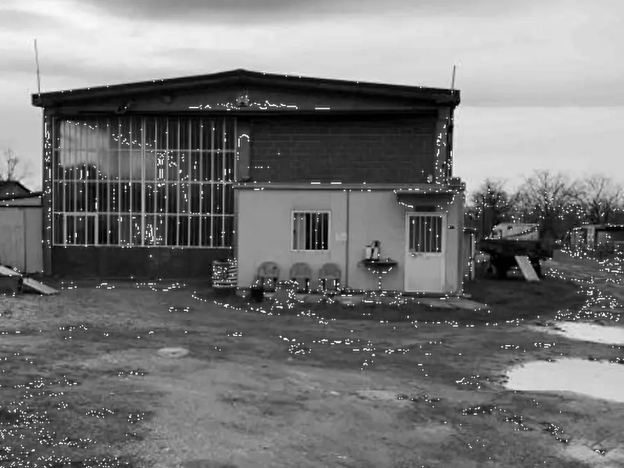 Immagine 1 di Capannone industriale in vendita  in Via Pavia a Torre De' Negri