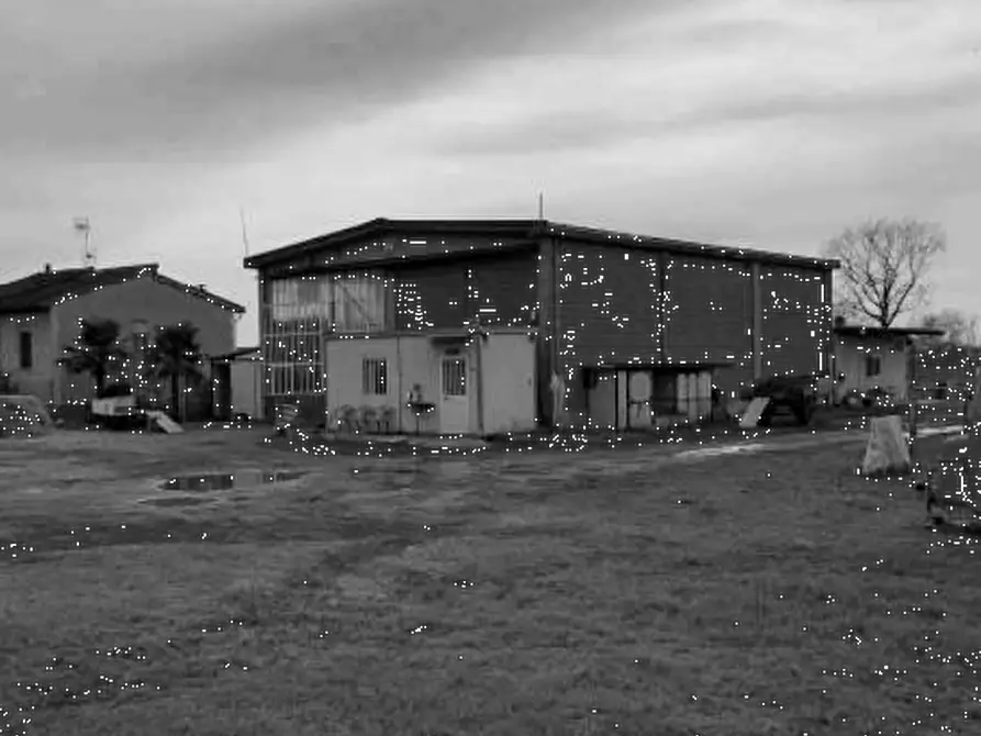 Immagine 2 di Capannone industriale in vendita  in Via Pavia a Torre De' Negri