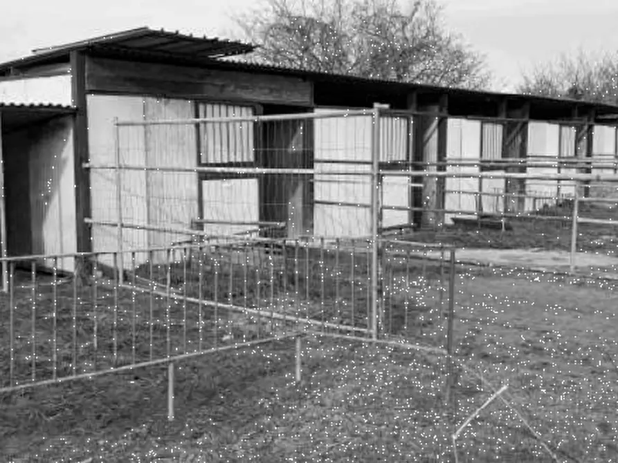 Immagine 3 di Capannone industriale in vendita  in Via Pavia a Torre De' Negri