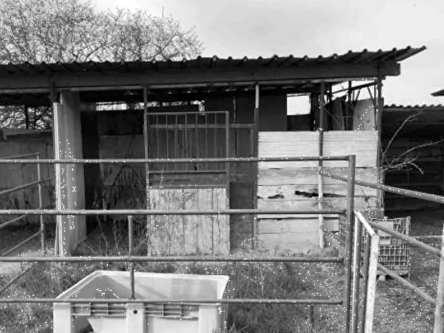 Immagine 4 di Capannone industriale in vendita  in Via Pavia a Torre De' Negri