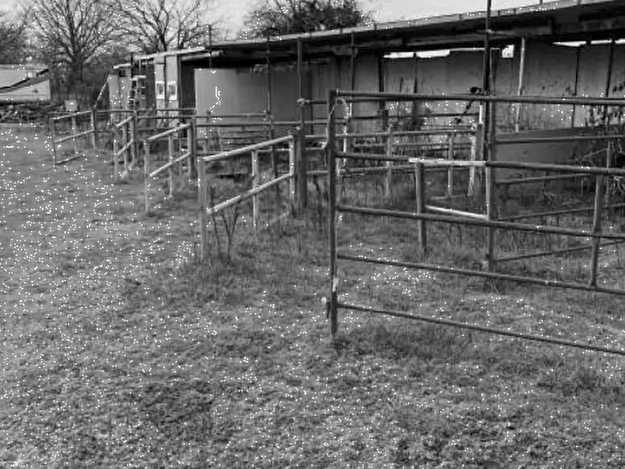 Immagine 5 di Capannone industriale in vendita  in Via Pavia a Torre De' Negri