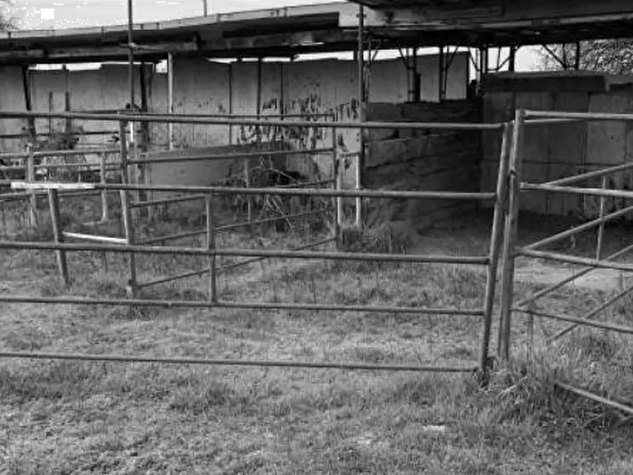 Immagine 6 di Capannone industriale in vendita  in Via Pavia a Torre De' Negri