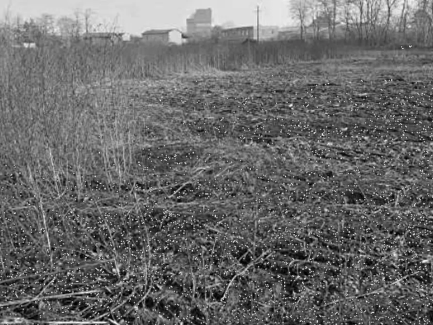 Immagine 8 di Capannone industriale in vendita  in Via Pavia a Torre De' Negri