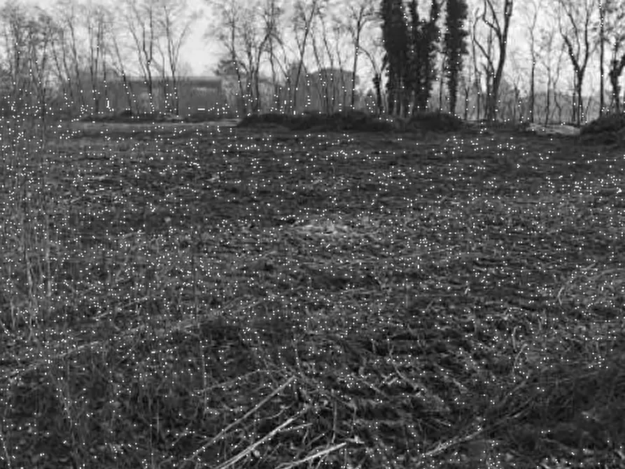 Immagine 9 di Capannone industriale in vendita  in Via Pavia a Torre De' Negri