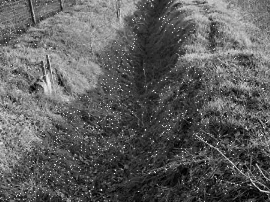 Immagine 10 di Capannone industriale in vendita  in Via Pavia a Torre De' Negri