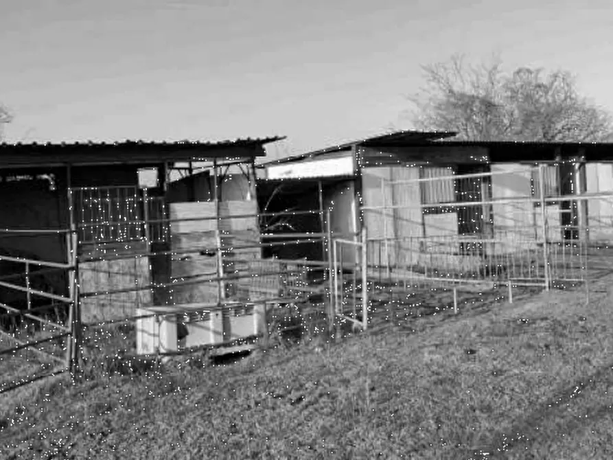 Immagine 11 di Capannone industriale in vendita  in Via Pavia a Torre De' Negri