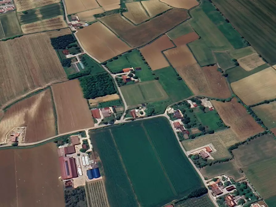 Immagine 6 di Villa in vendita  in Via Colombara a Nanto