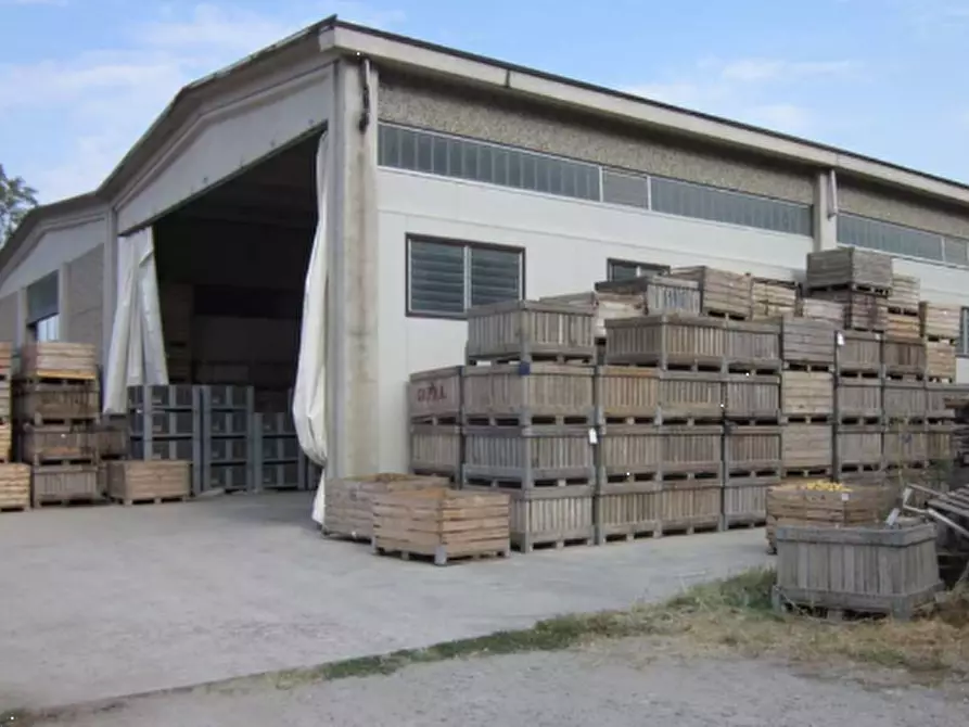 Immagine 4 di Capannone industriale in vendita  in Via Piccola Vedetta Lombarda a Voghera