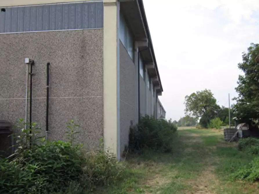Immagine 7 di Capannone industriale in vendita  in Via Piccola Vedetta Lombarda a Voghera