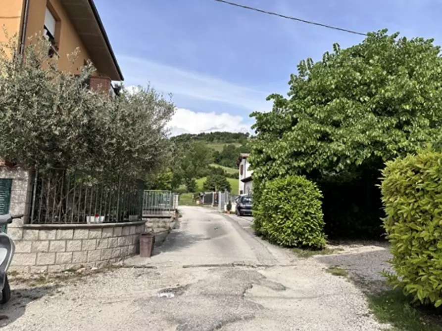Immagine 3 di Terreno agricolo in vendita  in Via dei Cinque Colli a Gubbio