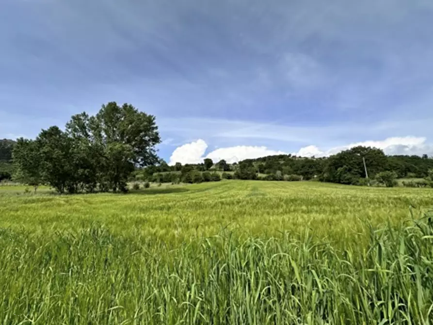 Immagine 7 di Terreno agricolo in vendita  in Via dei Cinque Colli a Gubbio