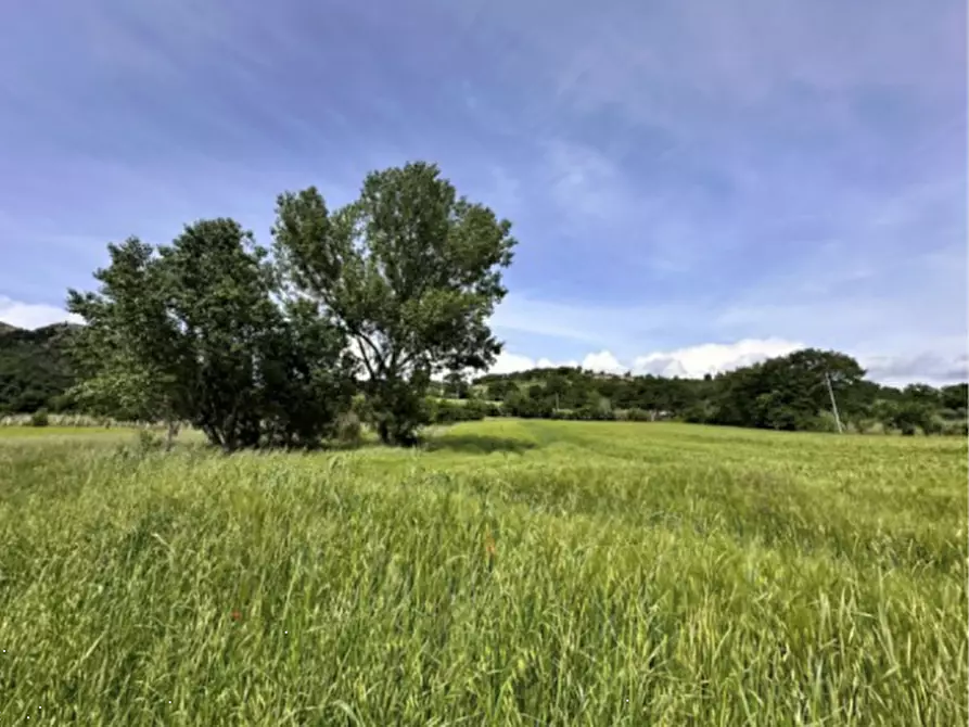 Immagine 11 di Terreno agricolo in vendita  in Via dei Cinque Colli a Gubbio