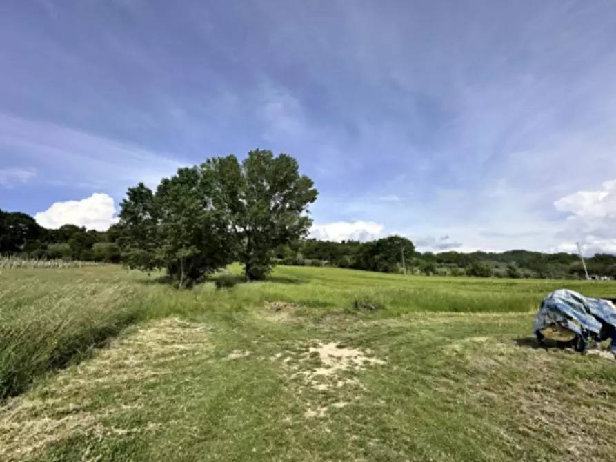 Immagine 12 di Terreno agricolo in vendita  in Via dei Cinque Colli a Gubbio