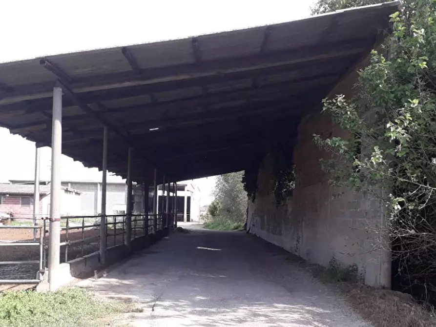 Immagine 2 di Rustico / casale in vendita  in Via Ripaldina di Sopra a Arena Po