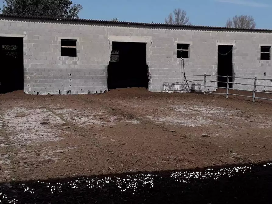 Immagine 3 di Rustico / casale in vendita  in Via Ripaldina di Sopra a Arena Po