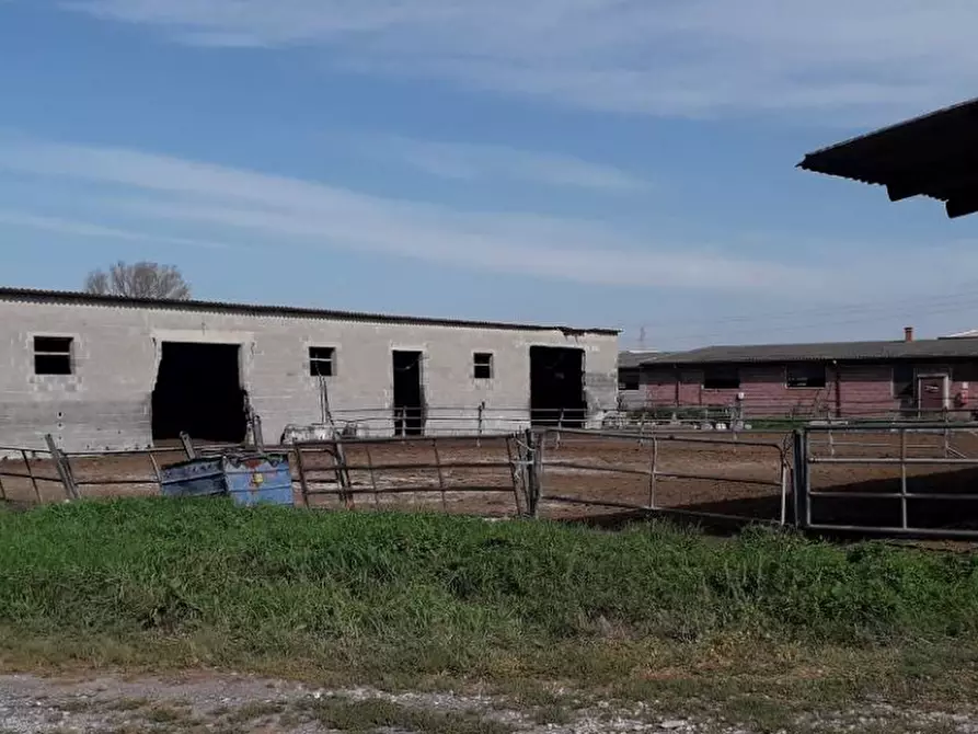 Immagine 4 di Rustico / casale in vendita  in Via Ripaldina di Sopra a Arena Po