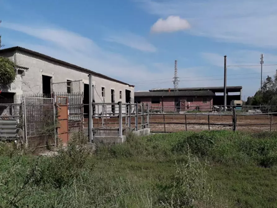 Immagine 7 di Rustico / casale in vendita  in Via Ripaldina di Sopra a Arena Po