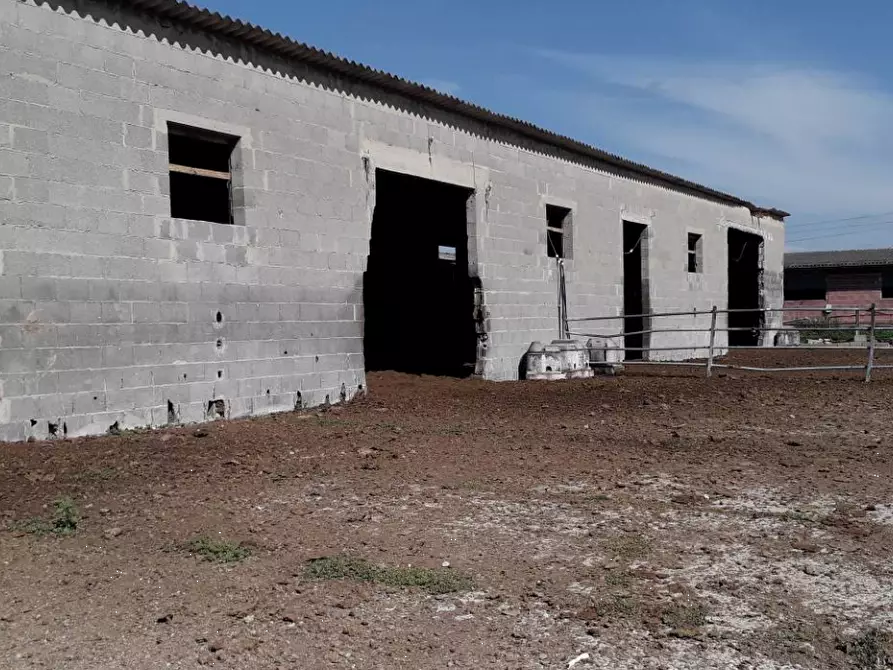 Immagine 8 di Rustico / casale in vendita  in Via Ripaldina di Sopra a Arena Po