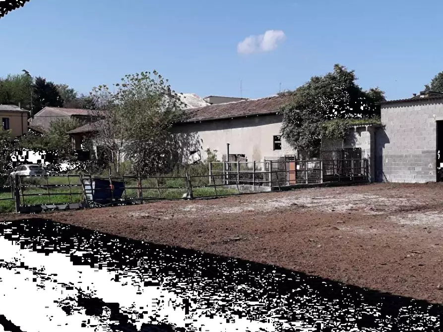 Immagine 10 di Rustico / casale in vendita  in Via Ripaldina di Sopra a Arena Po