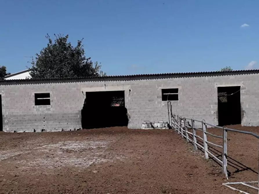 Immagine 11 di Rustico / casale in vendita  in Via Ripaldina di Sopra a Arena Po