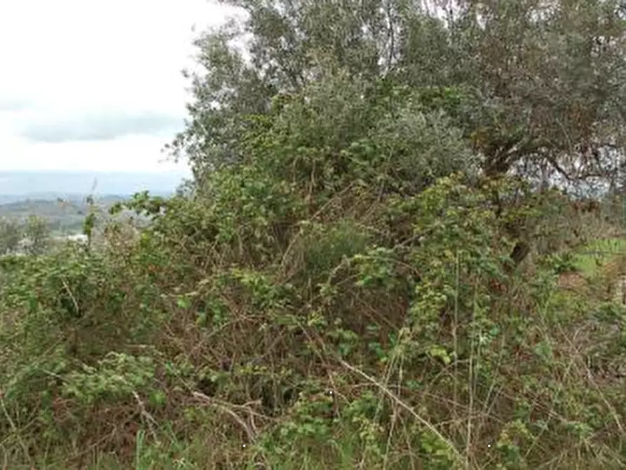 Immagine 22 di Stabile in vendita  in Strada di Lacugnano a Perugia
