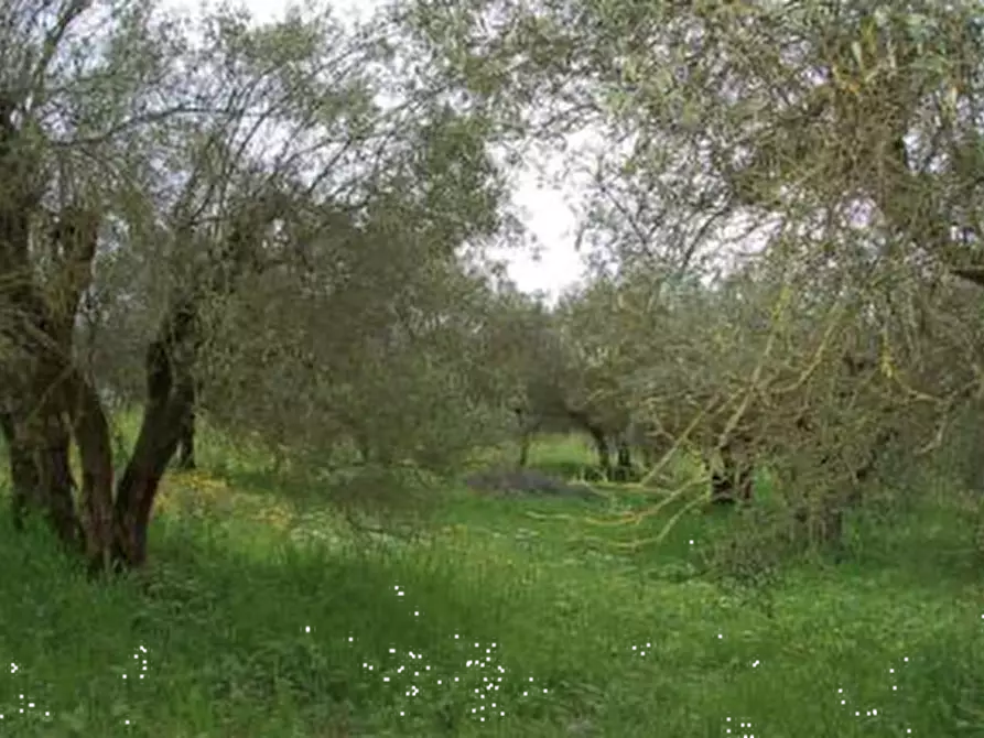 Immagine 27 di Stabile in vendita  in Strada di Lacugnano a Perugia