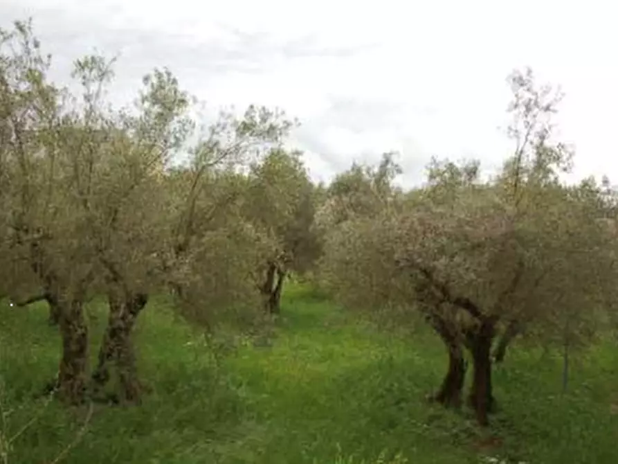 Immagine 28 di Stabile in vendita  in Strada di Lacugnano a Perugia