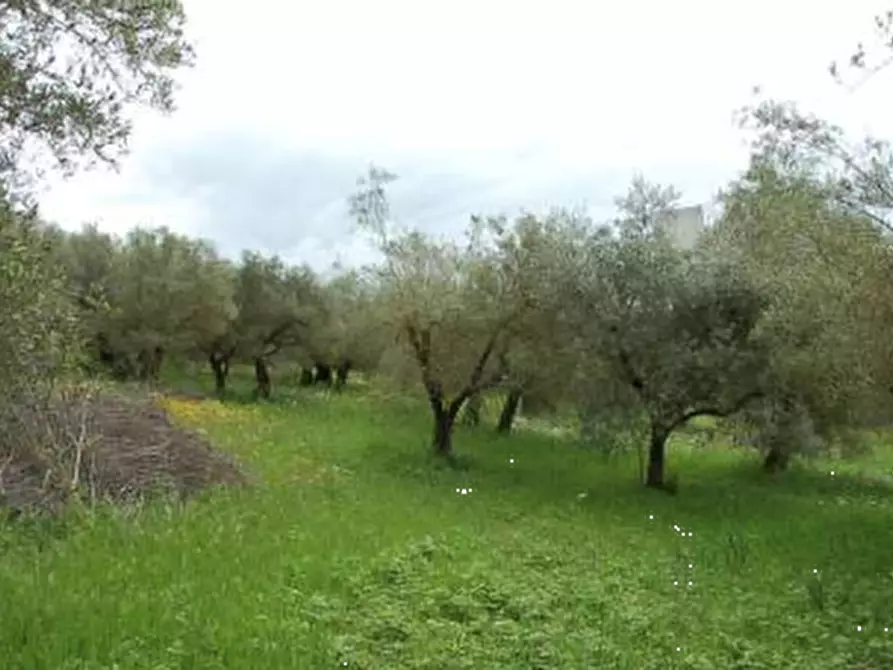Immagine 29 di Stabile in vendita  in Strada di Lacugnano a Perugia