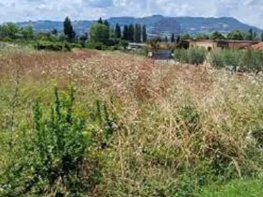 Immagine 3 di Terreno edificabile in vendita  in Località Caselle  a Gualdo Tadino