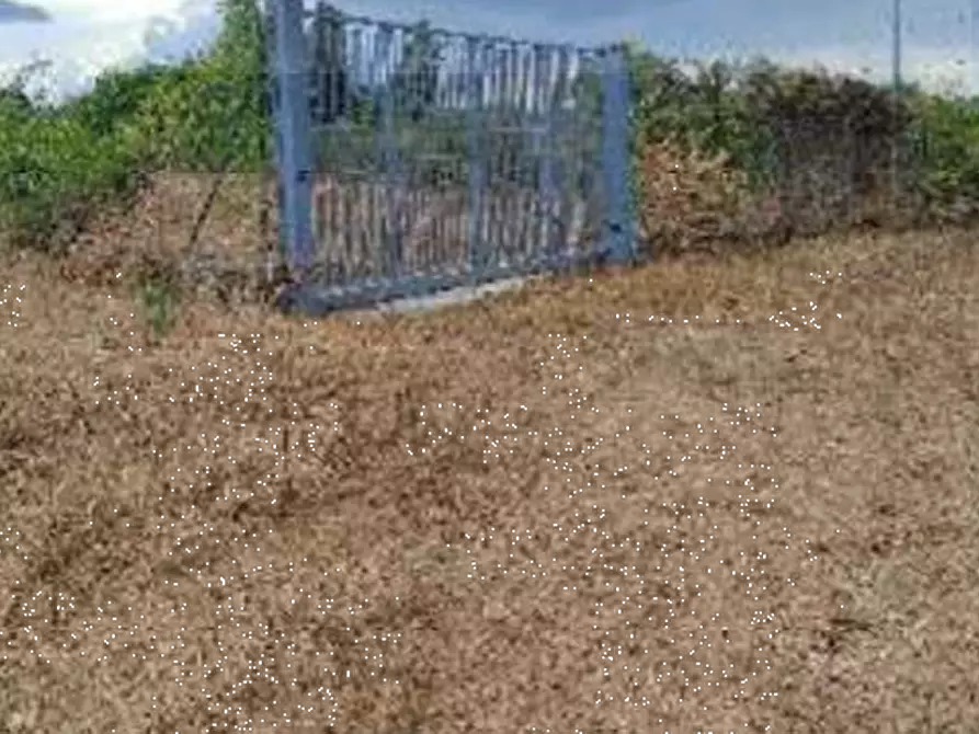 Immagine 4 di Terreno edificabile in vendita  in Località Caselle  a Gualdo Tadino