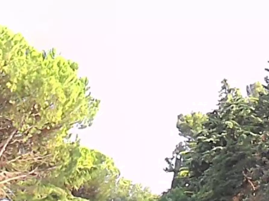 Immagine 10 di Appartamento in vendita  in Strada Valle del Profico  a Sant'elpidio A Mare
